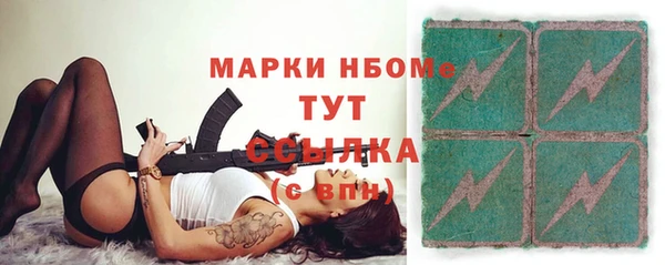 Альфа ПВП Горняк