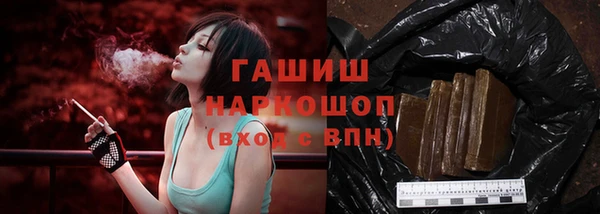 Альфа ПВП Горняк