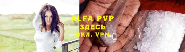 Альфа ПВП Горняк