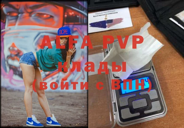 Альфа ПВП Горняк