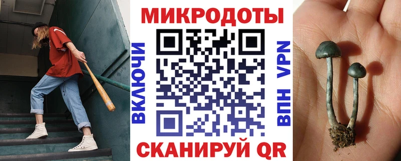 Галлюциногенные грибы MAGIC MUSHROOMS  hydra вход  Зуевка 