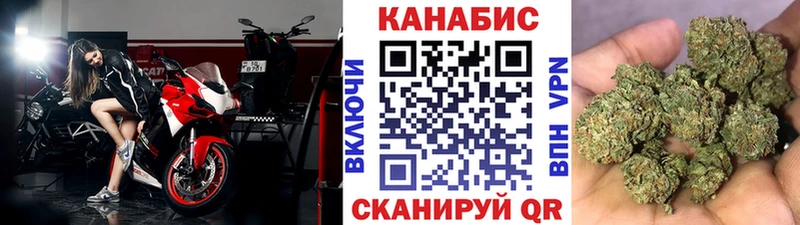 купить  сайты  Зуевка  Каннабис индика 
